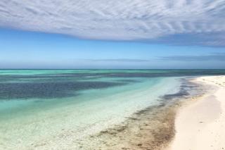 Orchid Suite - Key West - 8