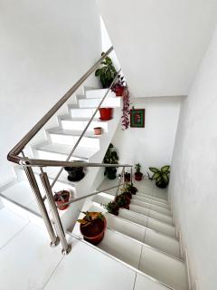 Oásis de retour - 4