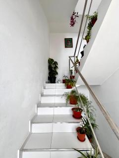 Oásis de retour - 3