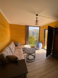 Forest Panorama House Dilijan - 6