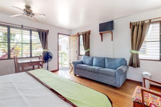 Green Iguana at Latitude Adjustment -Gold Standard Certified - 1