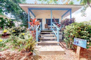 Blue Marlin at Latitude Adjustment -Gold Standard Certified - 3