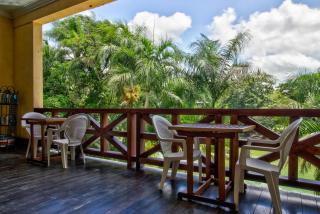 Monkey Room at Mahogany Hall -Gold Standard Certified - Bullet Tree Falls - 1