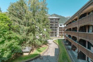 Chamonix Sud - Jonquilles 217 - Happy Rentals - 9