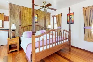 Purple Crown Fairy Cabana at Latitude Adjustment -Gold Standard Certified - 8