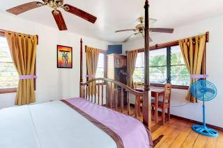 Purple Crown Fairy Cabana at Latitude Adjustment -Gold Standard Certified - 9