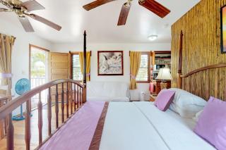 Purple Crown Fairy Cabana at Latitude Adjustment -Gold Standard Certified - 2