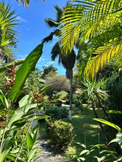 Cabanas Los Colibris Hotel Ecolodge - 7