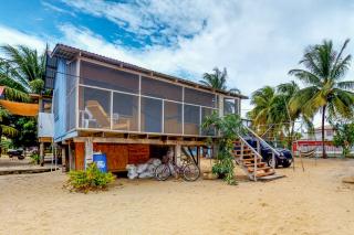 Jack at Carol's Cabanas -Gold Standard Certified - 0