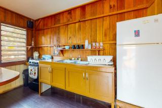 Jack at Carol's Cabanas -Gold Standard Certified - 4