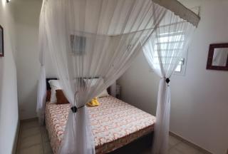 Le Colibri d'isa - 8