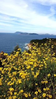 Face à la grande bleue - 8