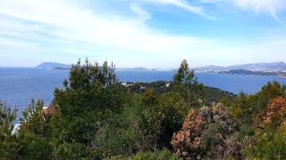 Face à la grande bleue - 4