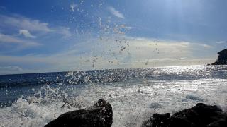 Face à la grande bleue - 2