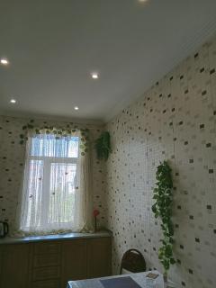 Просторная, двухкомнатная квартира ,с великолепным видом на город, расположенная в центре города Баку - 6