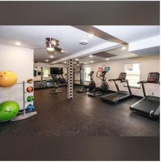 Golden Oasis Studio - 4