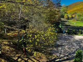Camping Kosovo Treehouse campground of anykind - 7