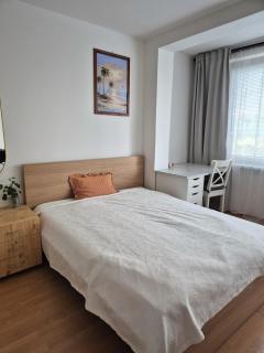 New, modern and cozy 2 bedroom apartment with balcony - 9