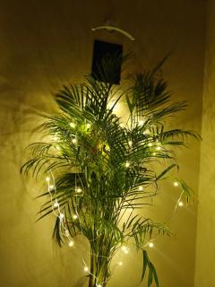 Staycation 2BHK sector 143, Expo Mart - 6