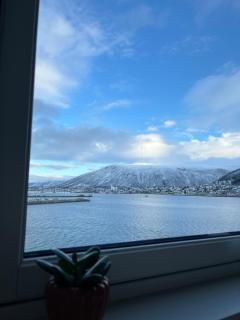 The Arctic Gaze with free parking - 6