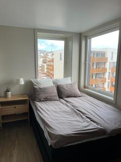 The Arctic Gaze with free parking - 7