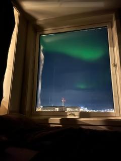 The Arctic Gaze with free parking - 4