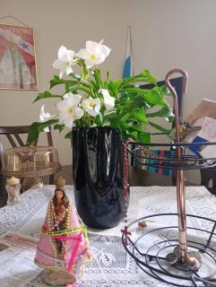 COP 30 centro Belém - 1