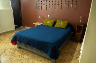 Casa Nicole Casa completa en Centro de San Cris - 7