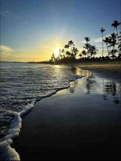 Villa dos Lagos - Praia do Forte - 6