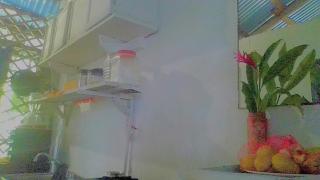 BEACHside B&B PUERTO VIEJO - 1