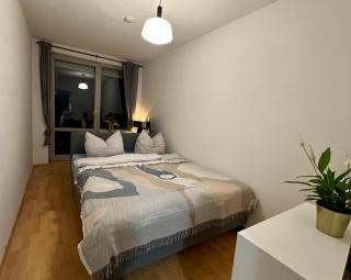 Ruhig & Terrasse Dresden-Altstadt 3-Zimmer Wohnungen - 5