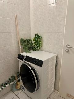 Ruhig & Terrasse Dresden-Altstadt 3-Zimmer Wohnungen - 3