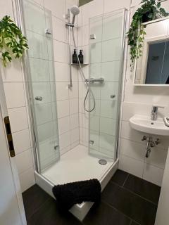 Ruhig & Terrasse Dresden-Altstadt 3-Zimmer Wohnungen - 1