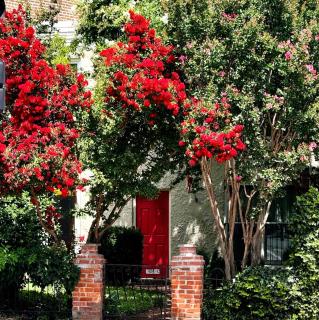 House of the Artists - 9