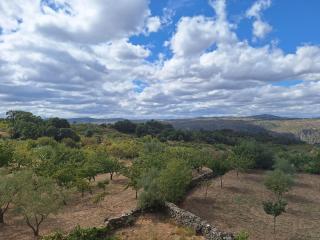 La Casa del Cribero - 4