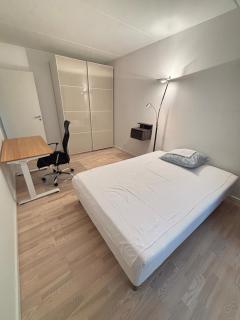 Cozy Townhouse near Copenhagen - 5