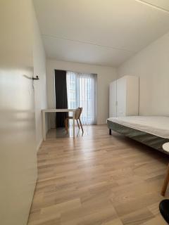 Cozy Townhouse near Copenhagen - 2