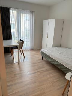 Cozy Townhouse near Copenhagen - 1