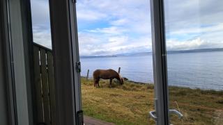 Sauðá Guesthouse - 5