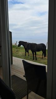 Sauðá Guesthouse - 6