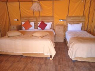 Good vibes desert camp - 0