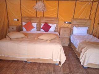 Good vibes desert camp - 3