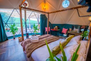 Coorie Retreats Luxury Geo Domes and Cabins with Private Hot Tubs Cinema Firepit Spa and More - 8