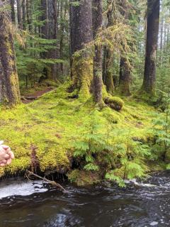 Dragon's End Guesthouse - 9