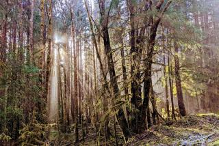 Dragon's End Guesthouse - 8