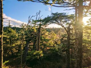 Dragon's End Guesthouse - 1