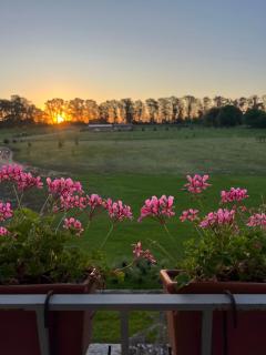 Chacra El Cardenal - 1