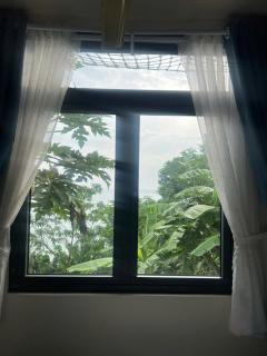 The mountain Sea View - 2