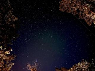 Frolic Field Nasu 源泉温泉の檜風呂 一棟貸切 BBQ ドッグラン 犬OK 9名 星空テラス - 6