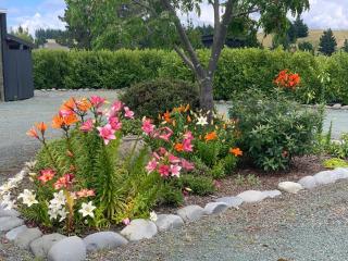 Mapua - Rural bliss - 5